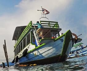 外籍海洋漁撈業